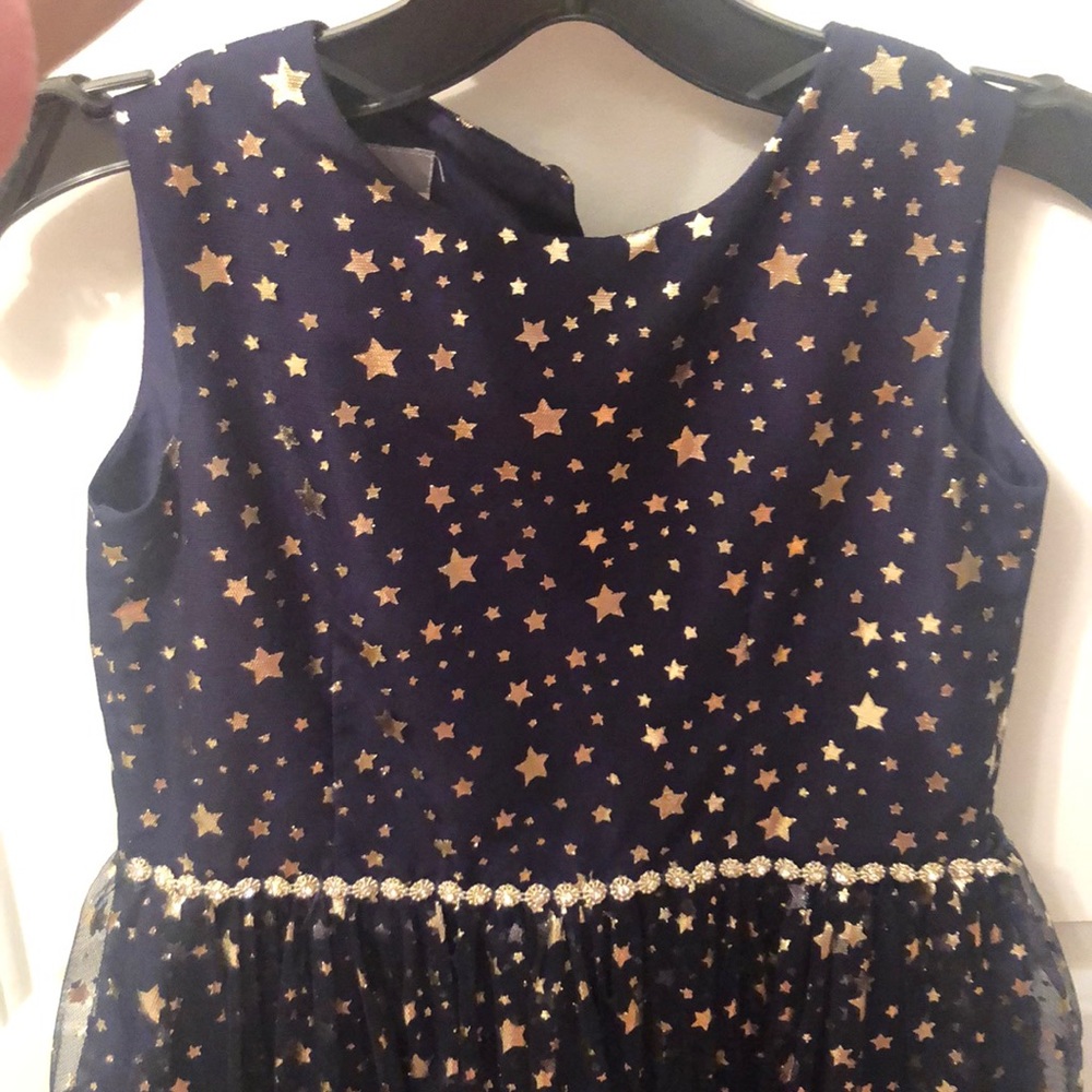 Fancy little girl dress